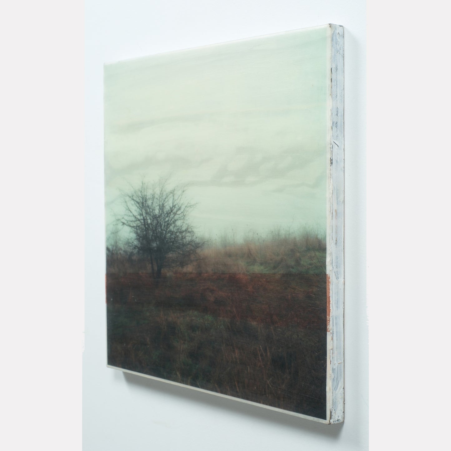 18X18 | Under The Branches