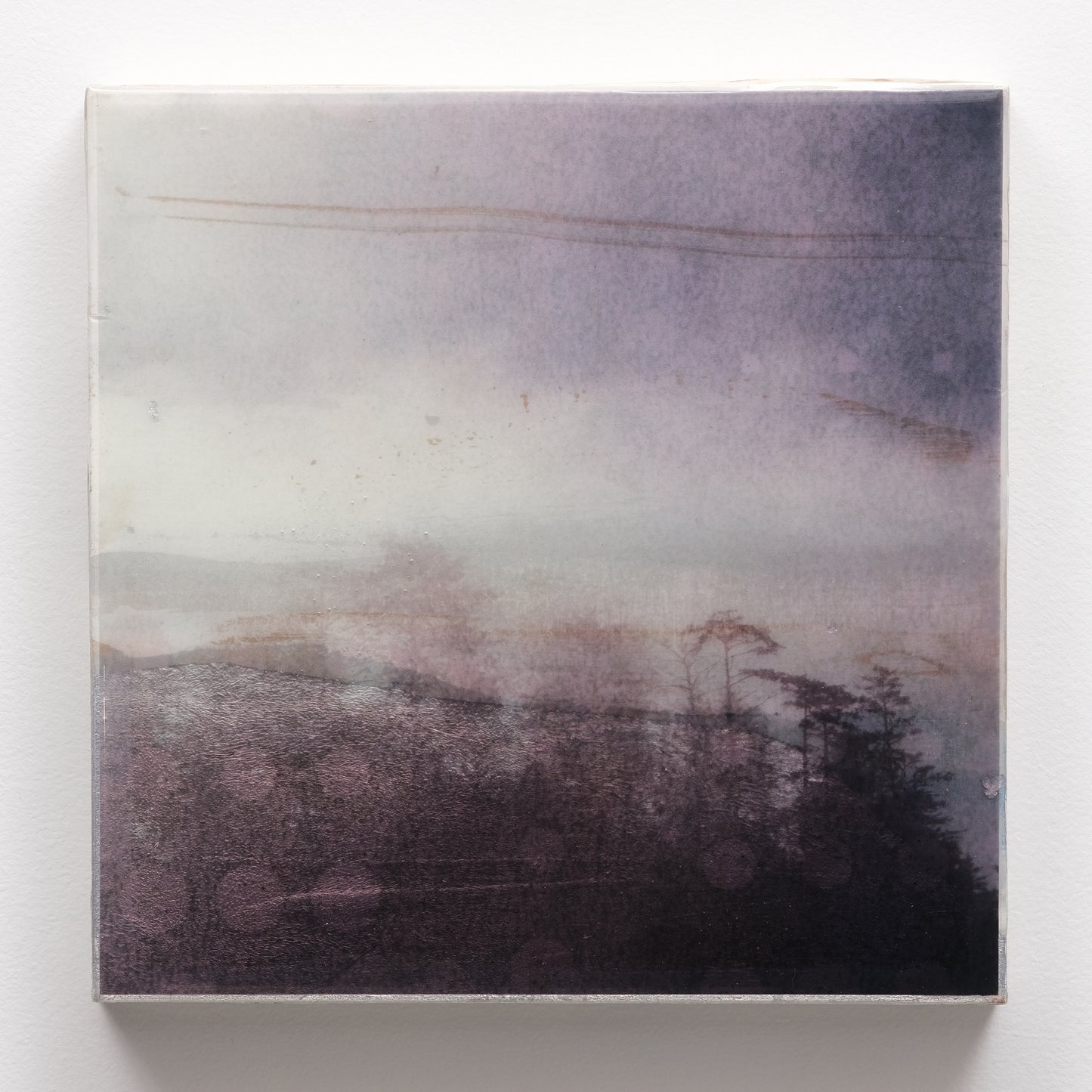 10X10 | Tofino Trees