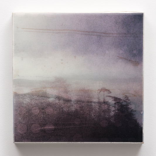 10X10 | Tofino Trees